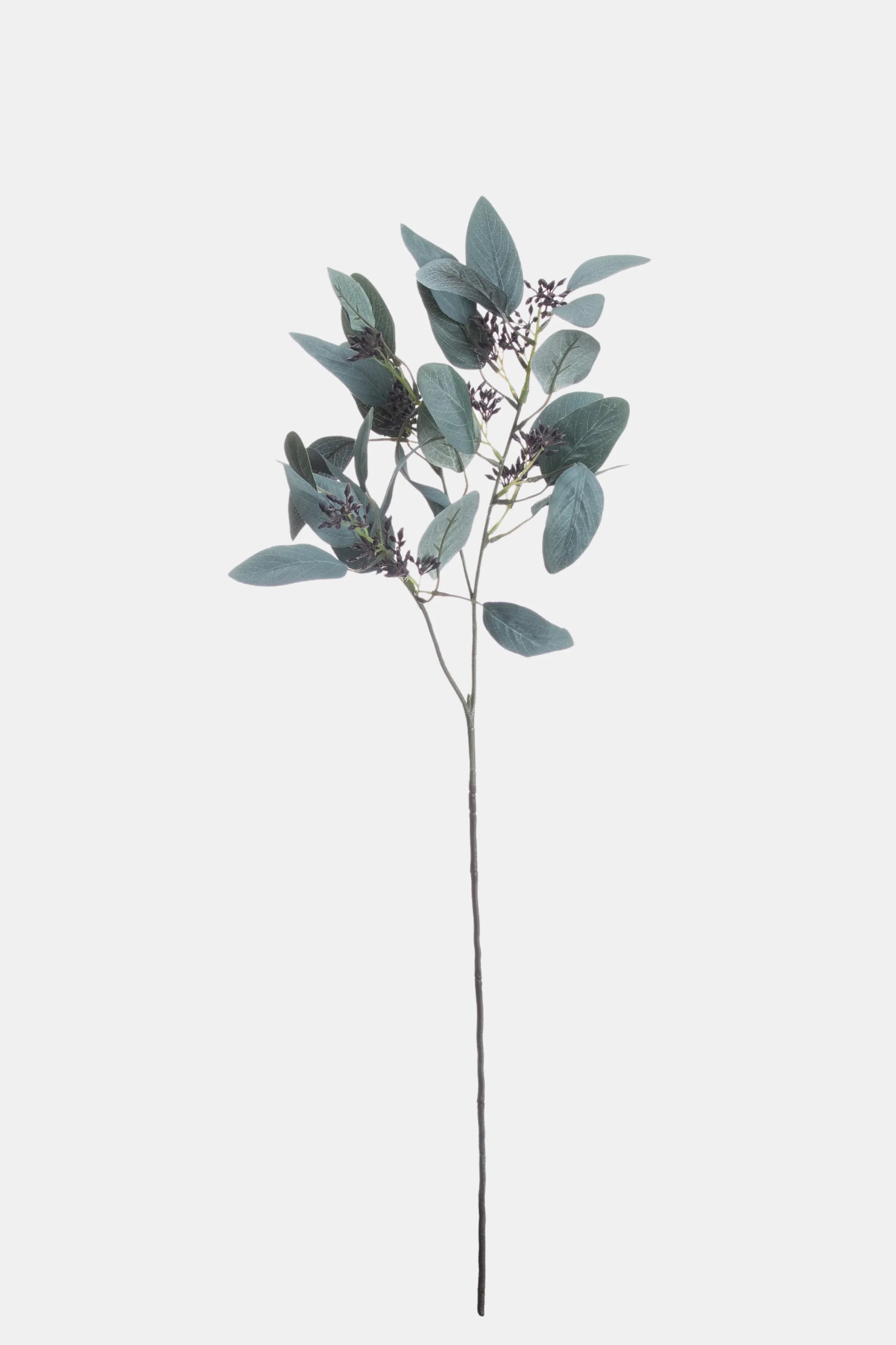 Seeded Eucalyptus Stem