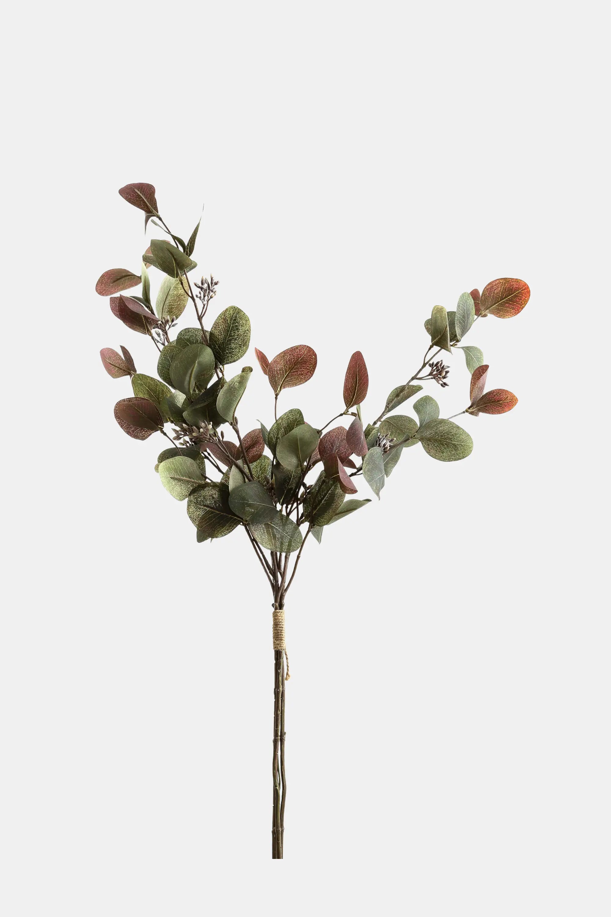 Green & Burgundy Variegated Eucalyptus