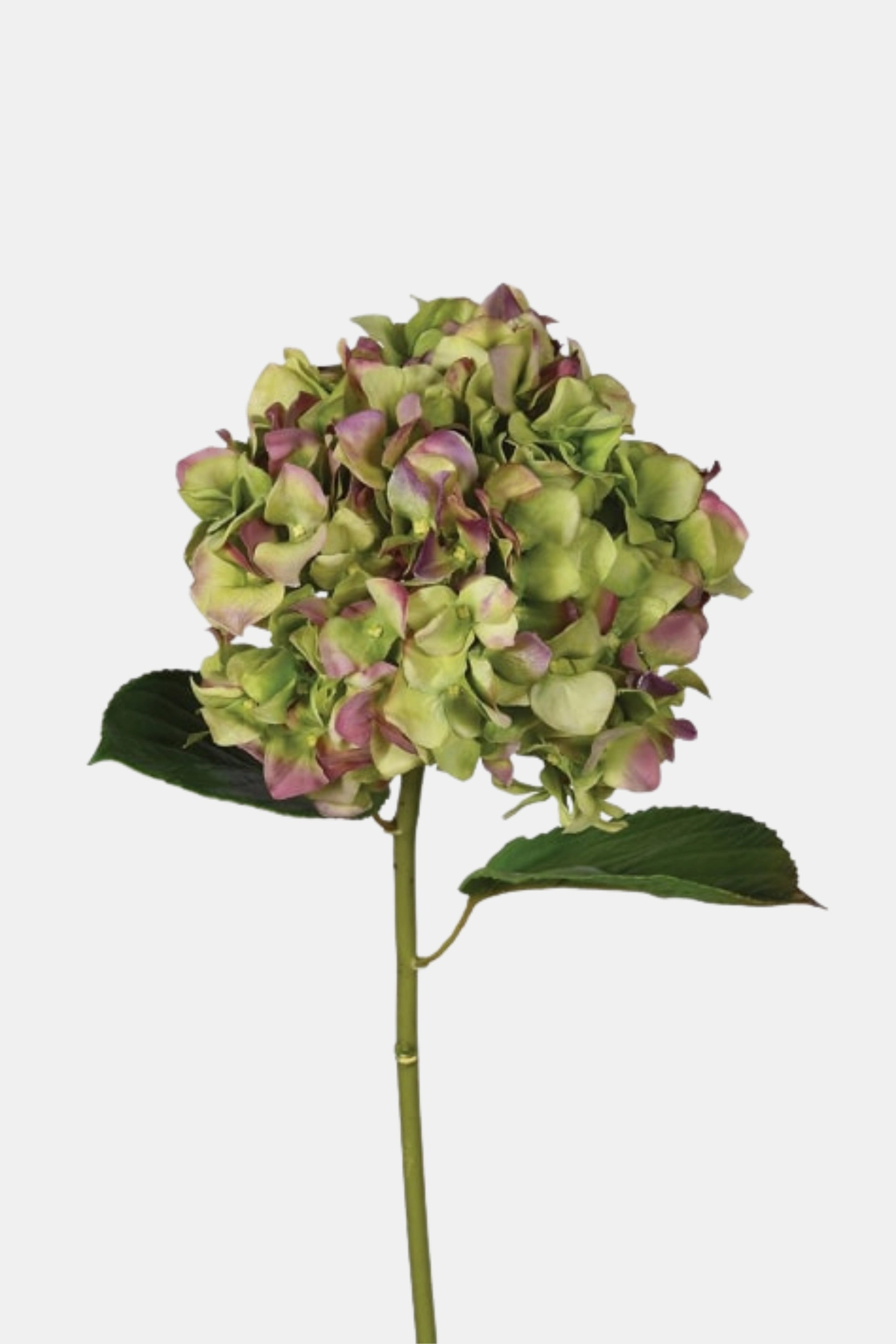 Deluxe Pistachio & Aubergine Real Feel Hydrangea