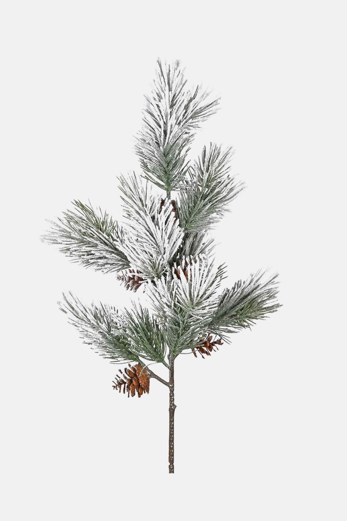 Snowy Winter Pine Stem