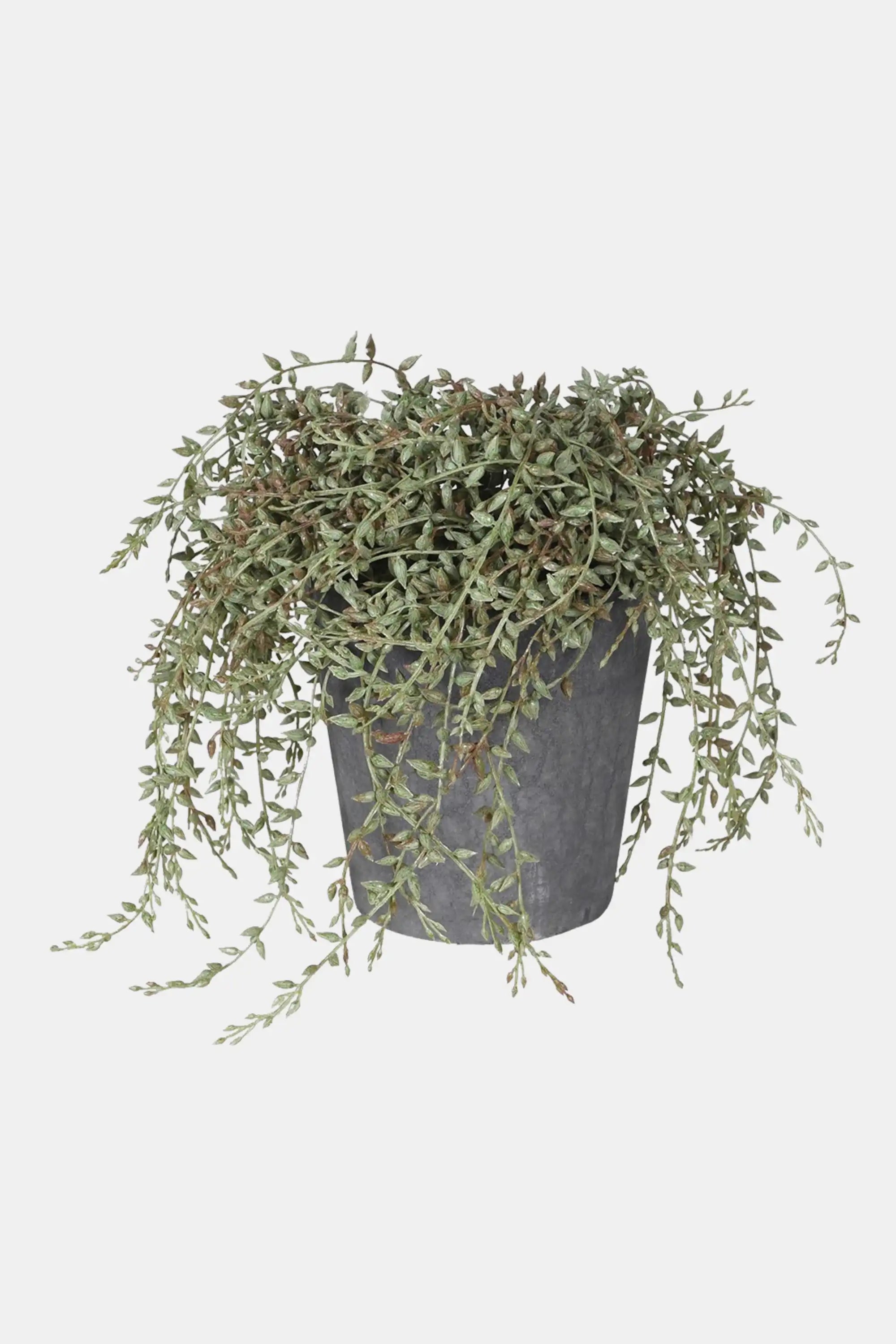 Faux Senecio Radican Potted Plant