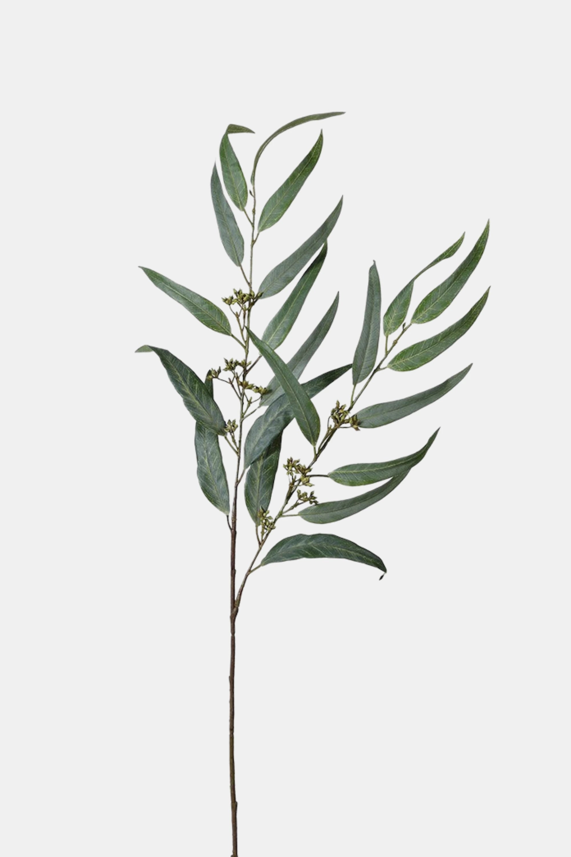 Green Seeded Willow Eucalyptus Spray