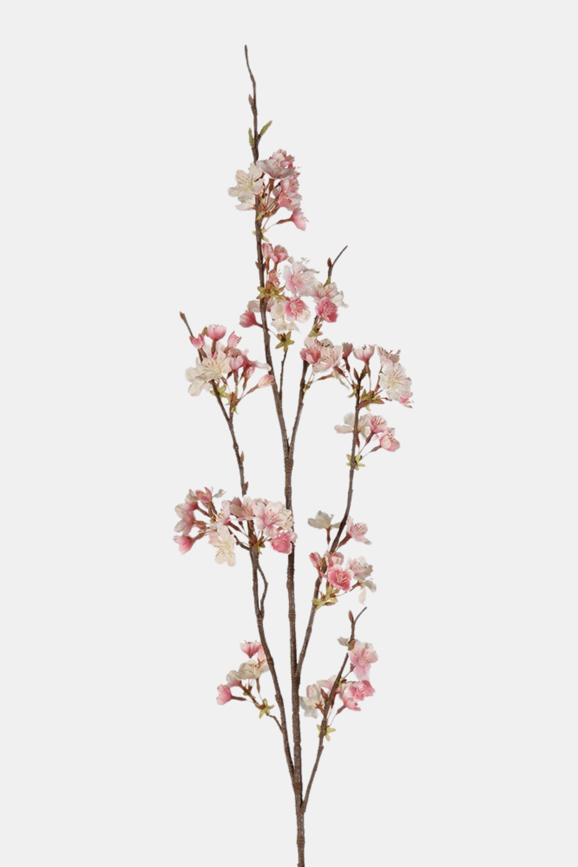 Pink Ruffle Cherry Blossom