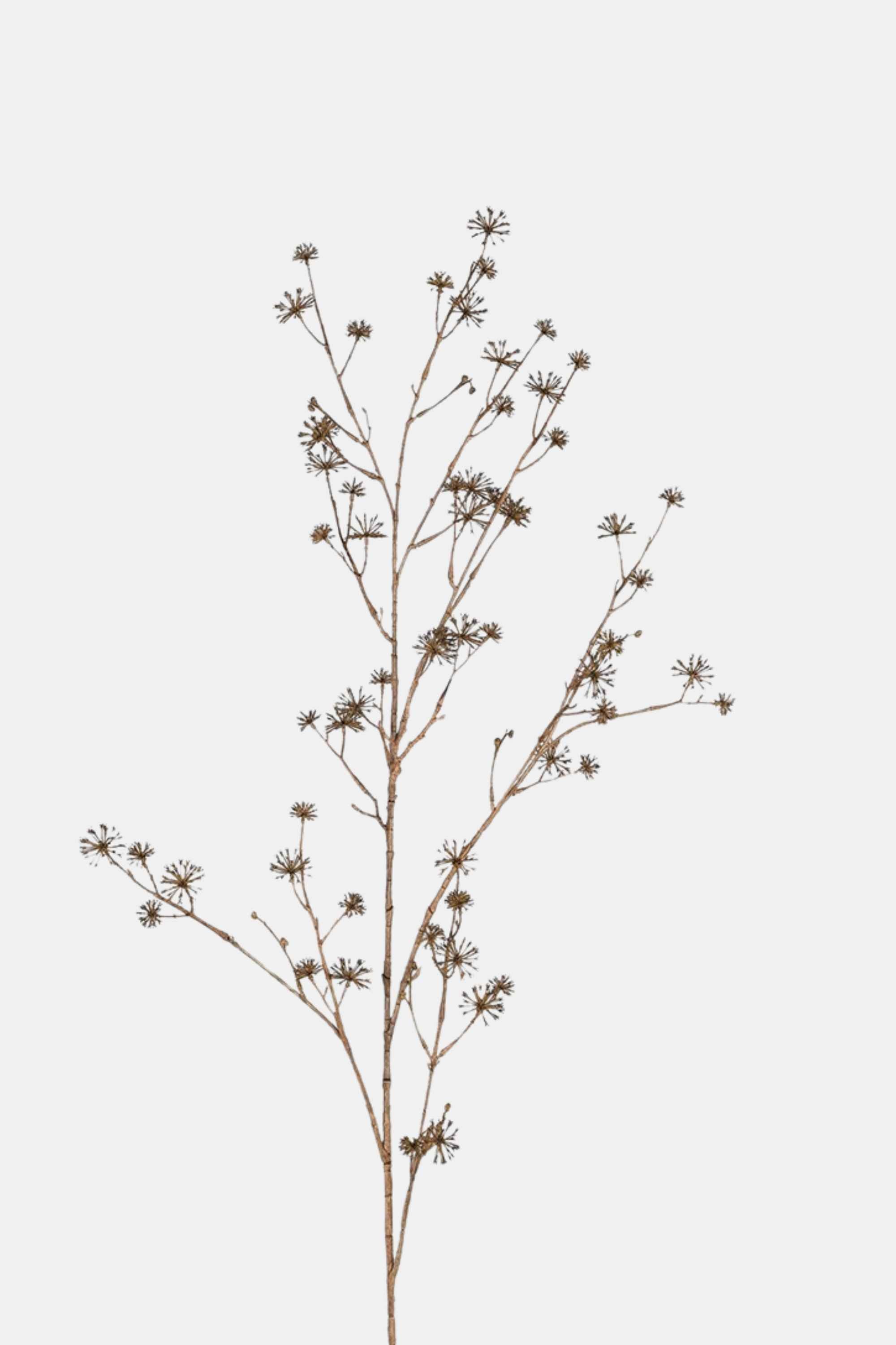 Brown Dogwood Spray