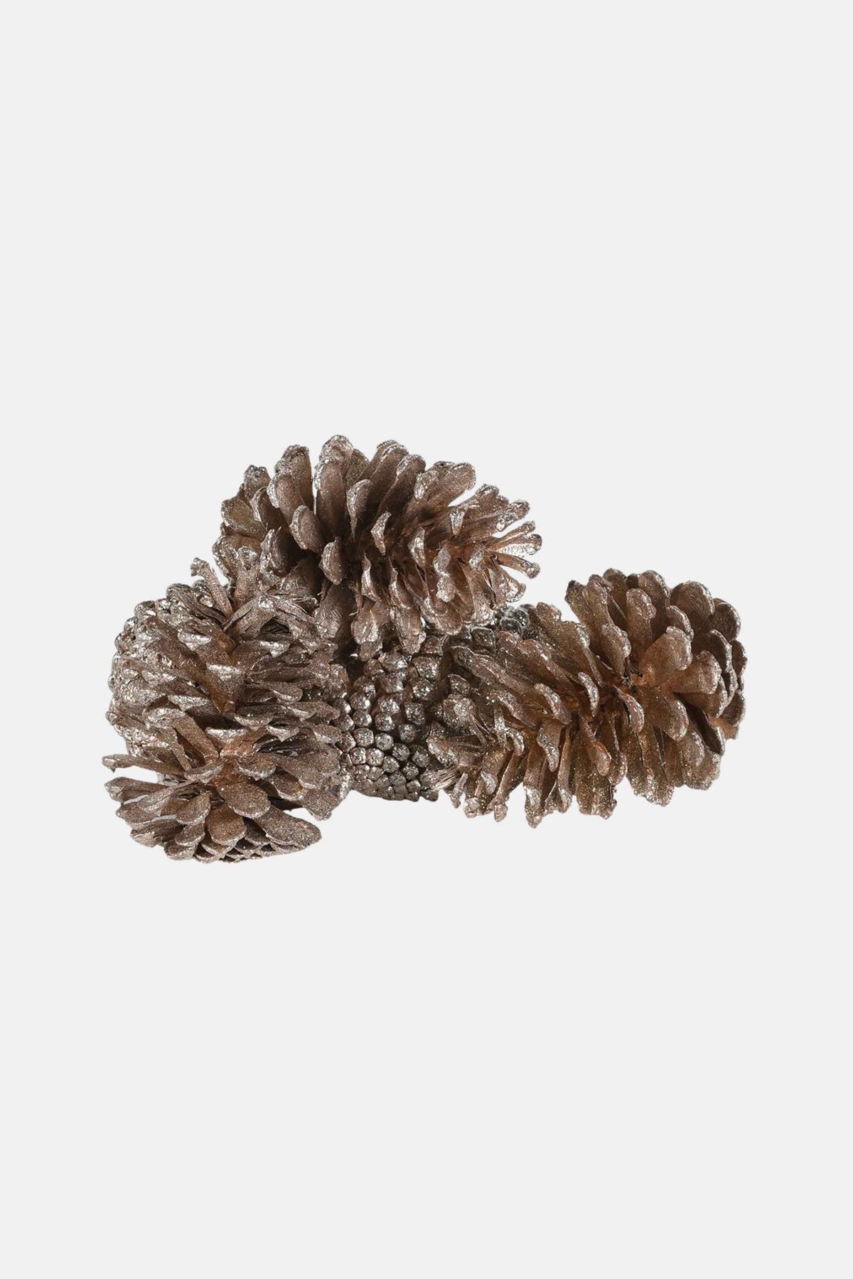 Bag of Champagne Pinecones