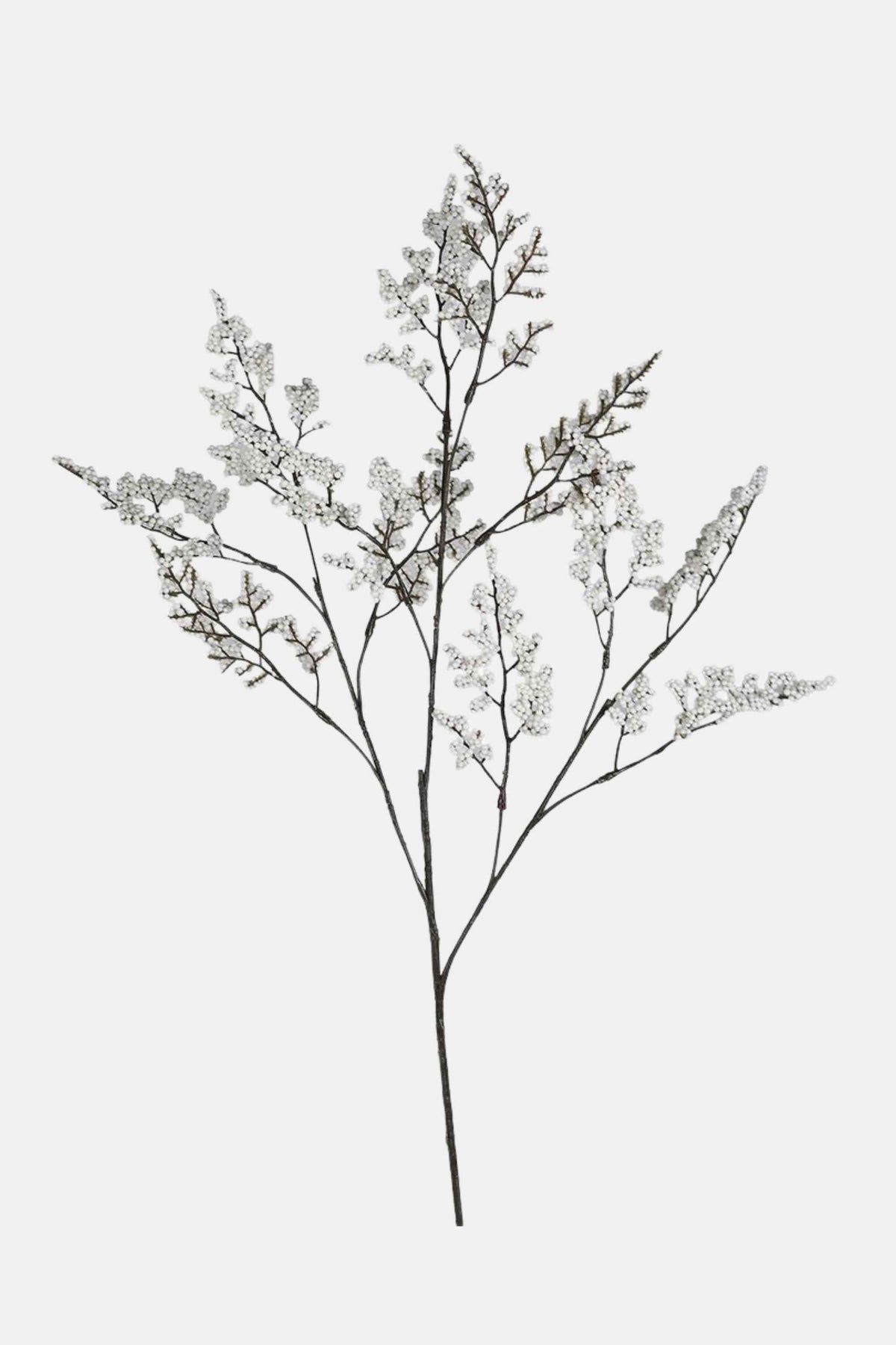 White Berry Stem