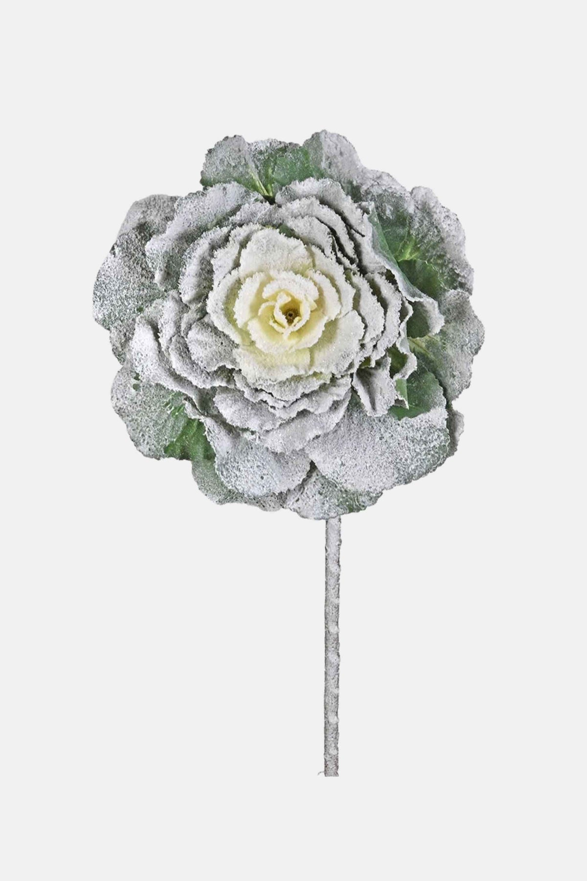 Snowy Cabbage Spray