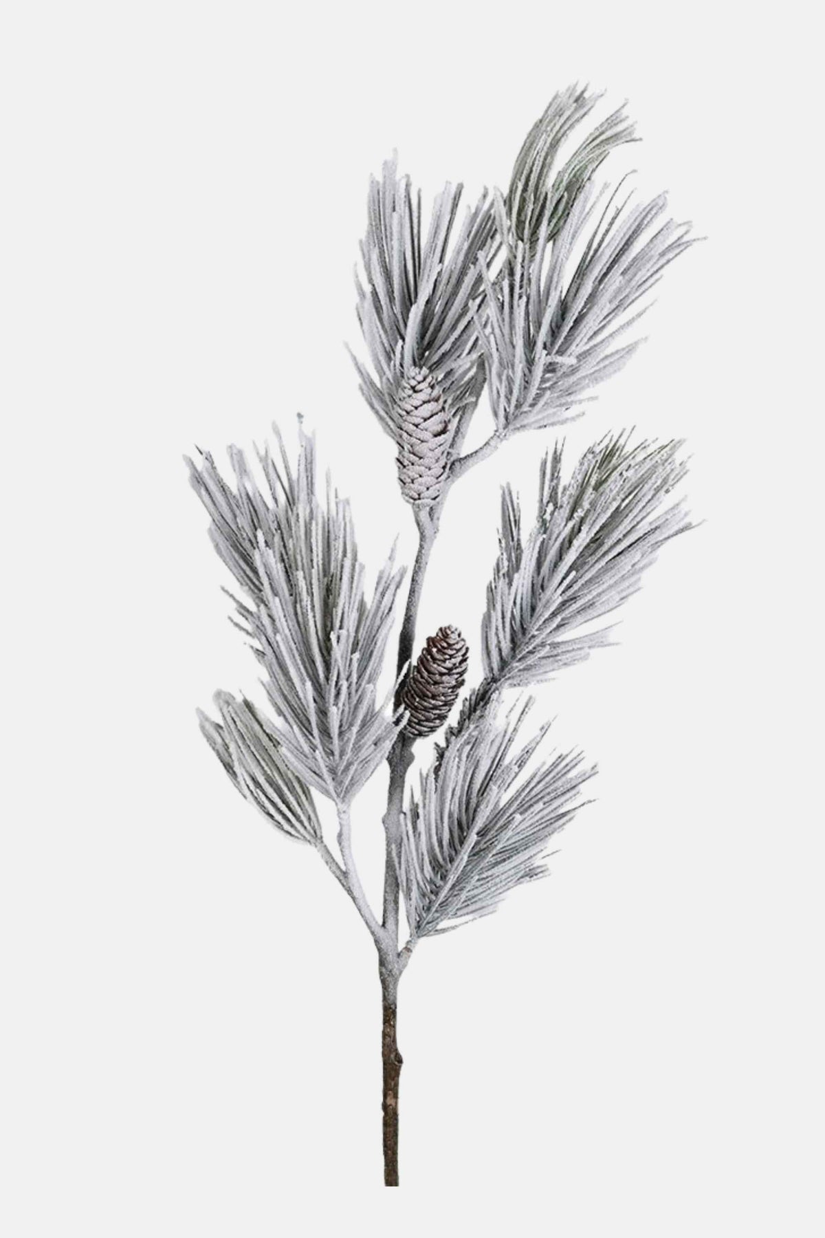 Large Snowy Pine Stem