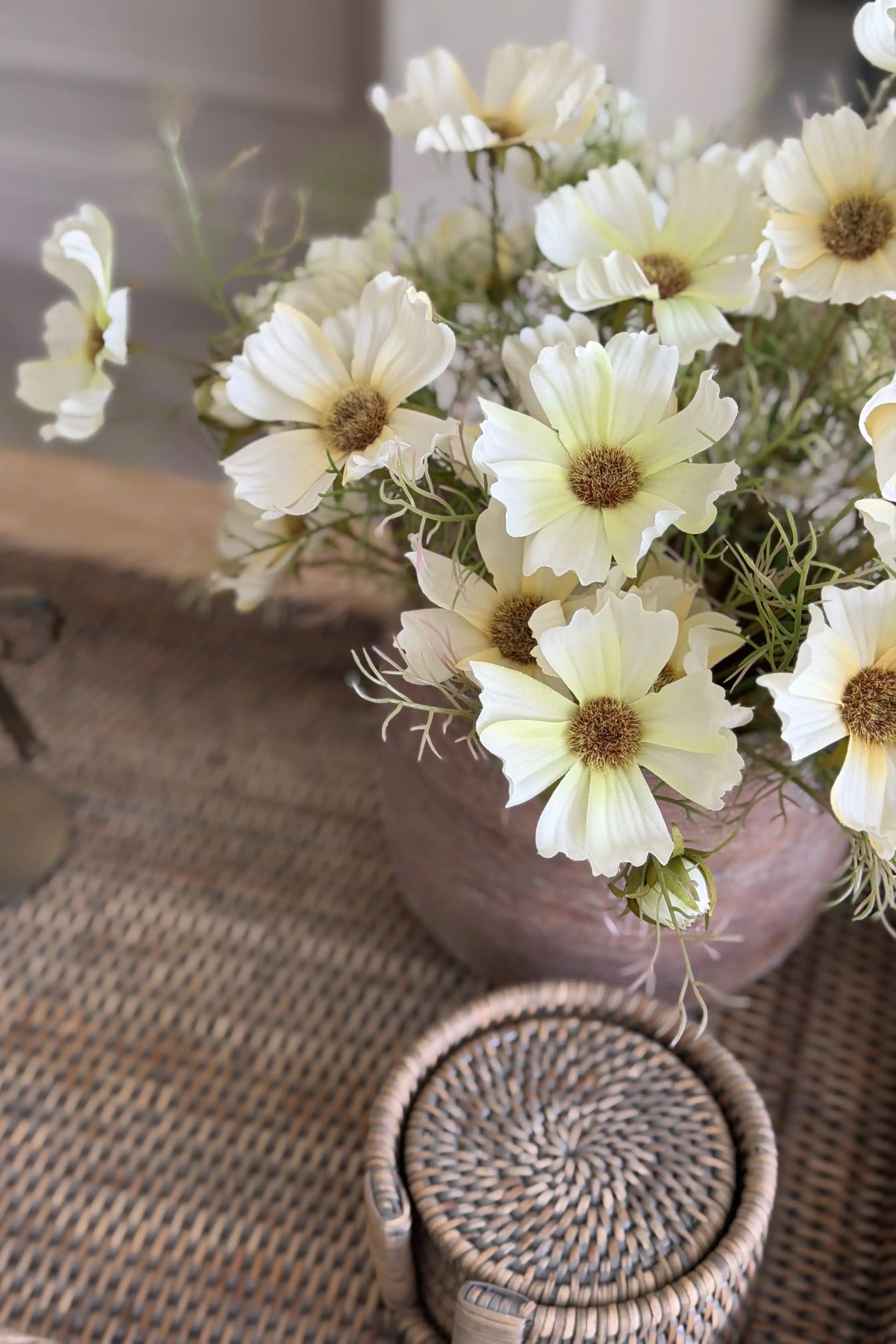 Cream Cosmos Spray