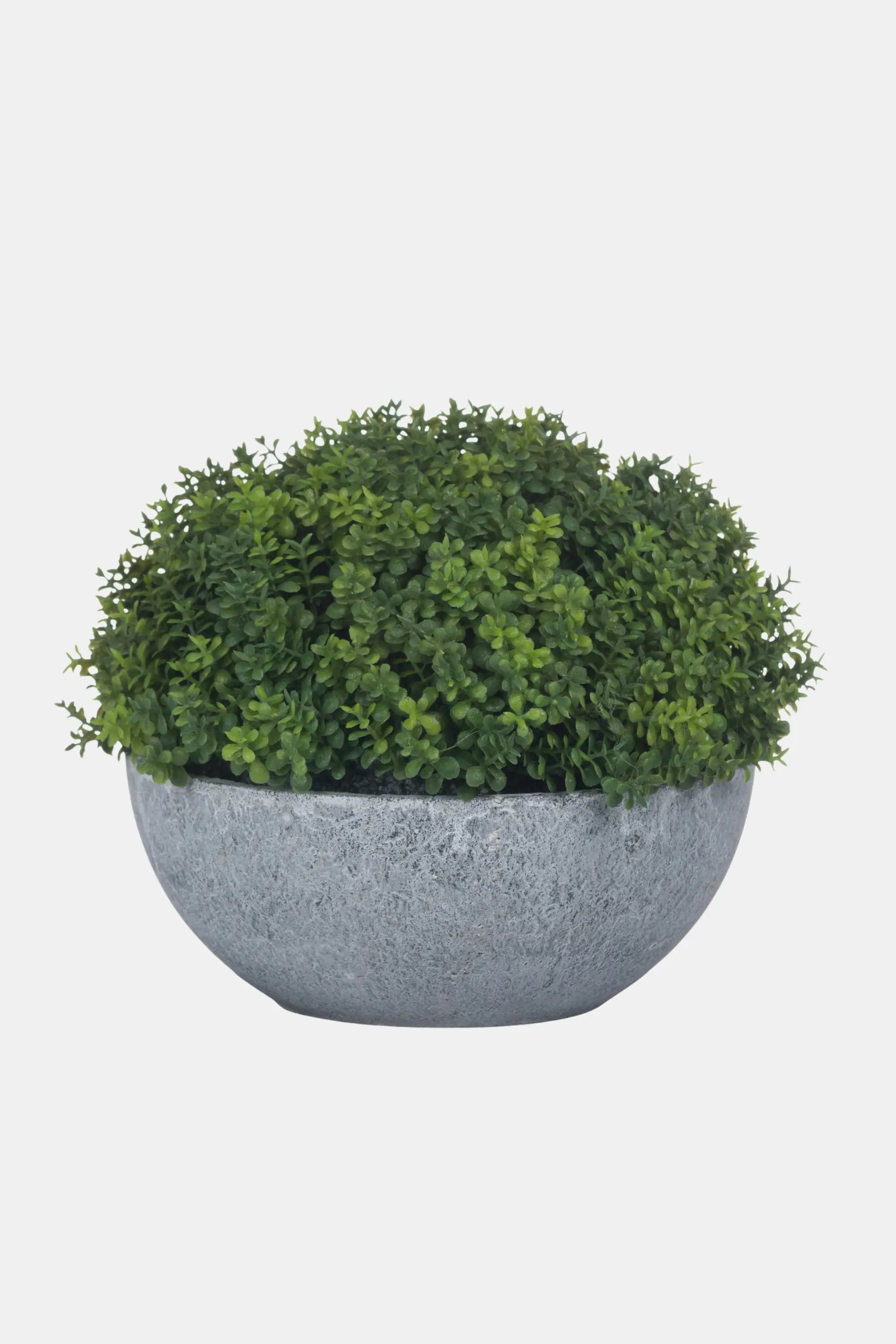 Hebe Globe Pot