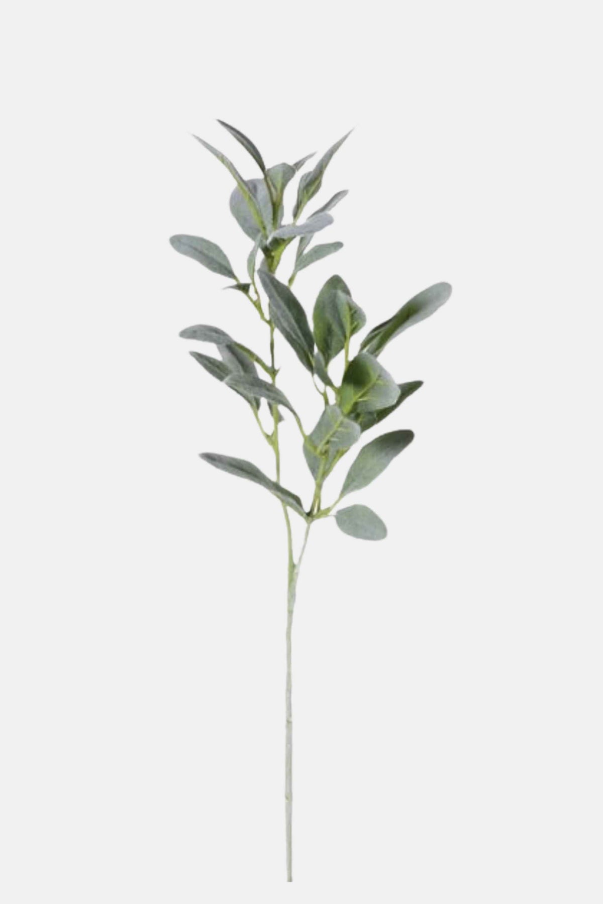 Flocked Lambs Ear Spray