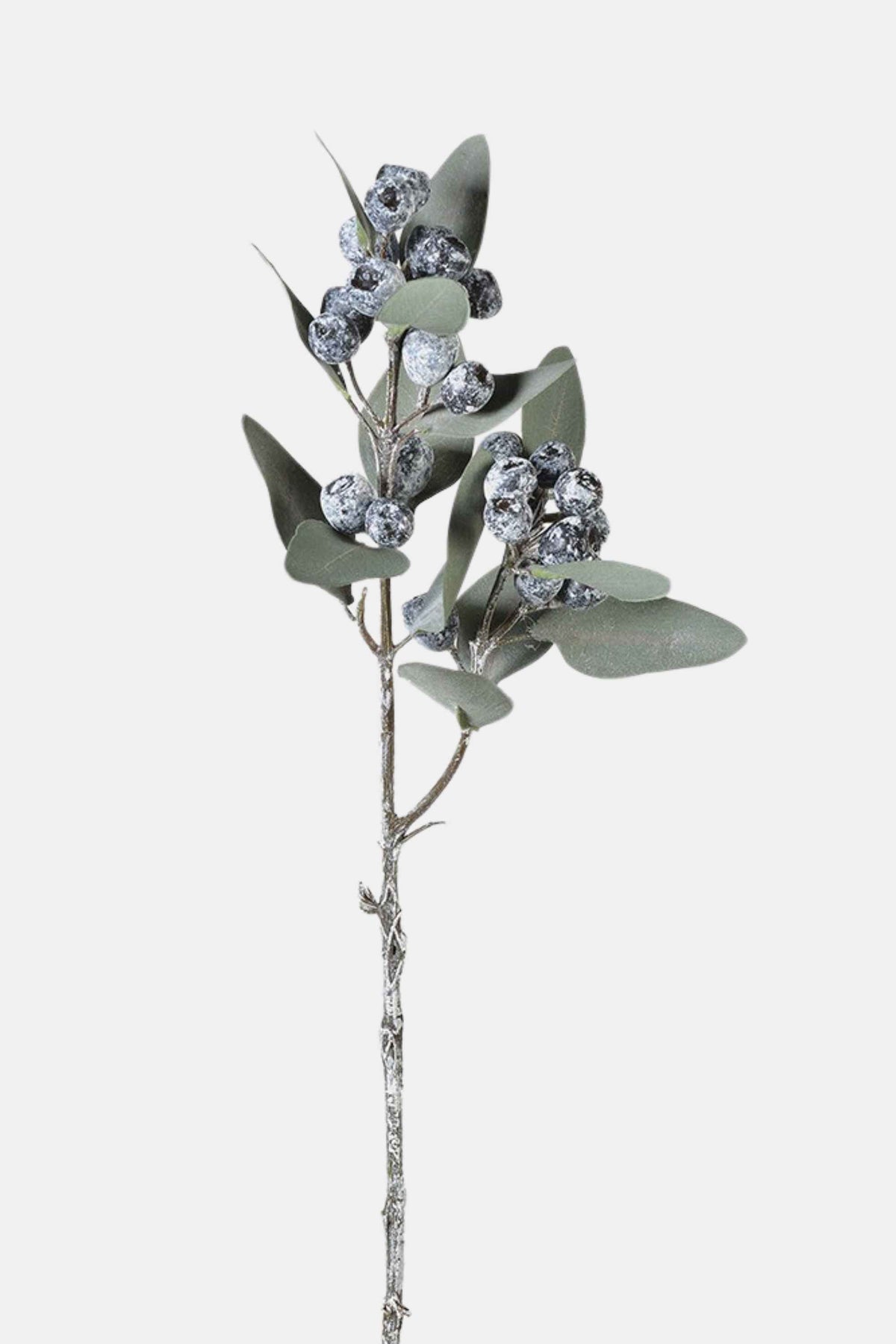 Natural Eucalyptus Berry Spray