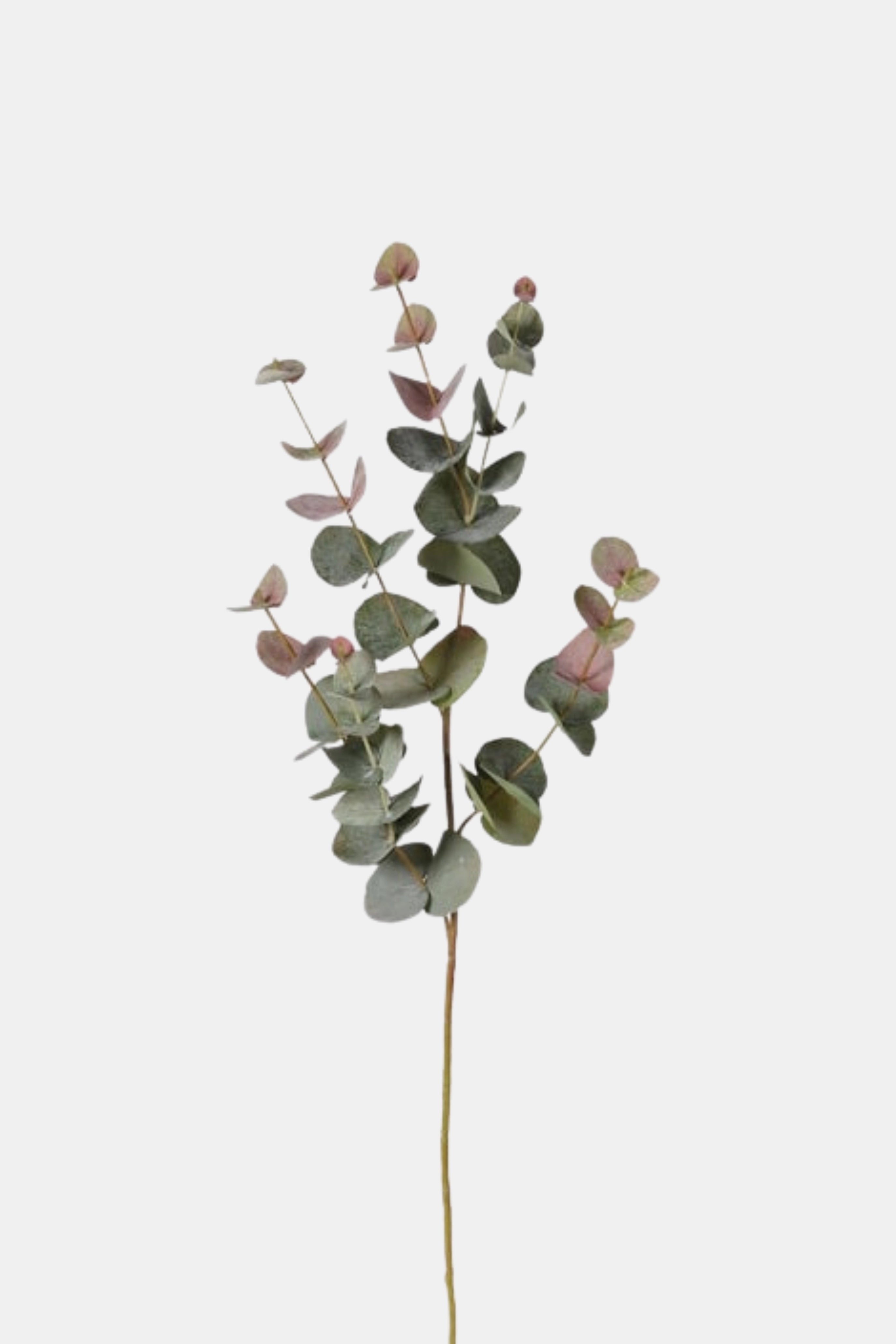 Blush Eucalyptus Spray
