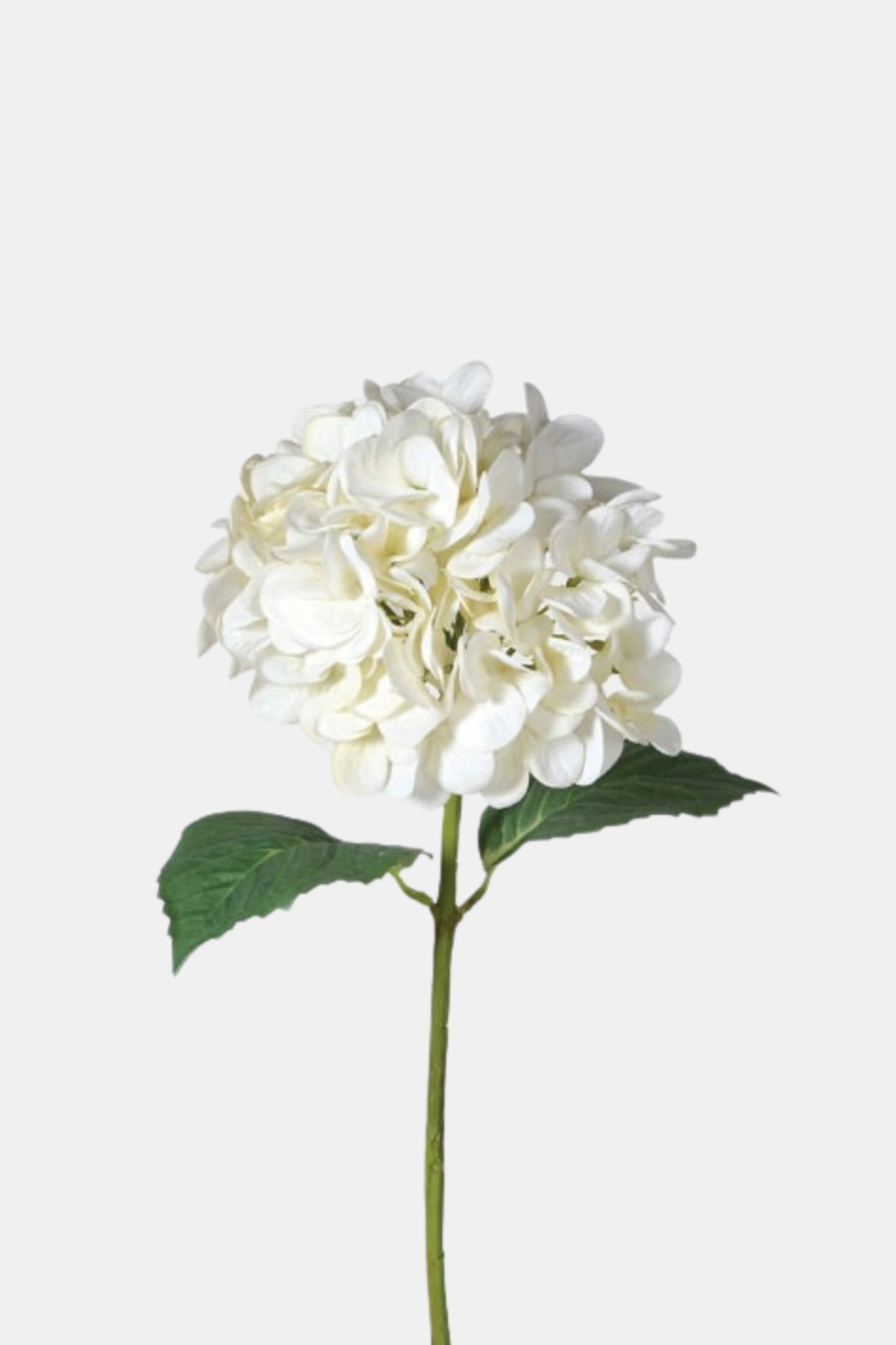Medium Deluxe Real Feel White Hydrangea