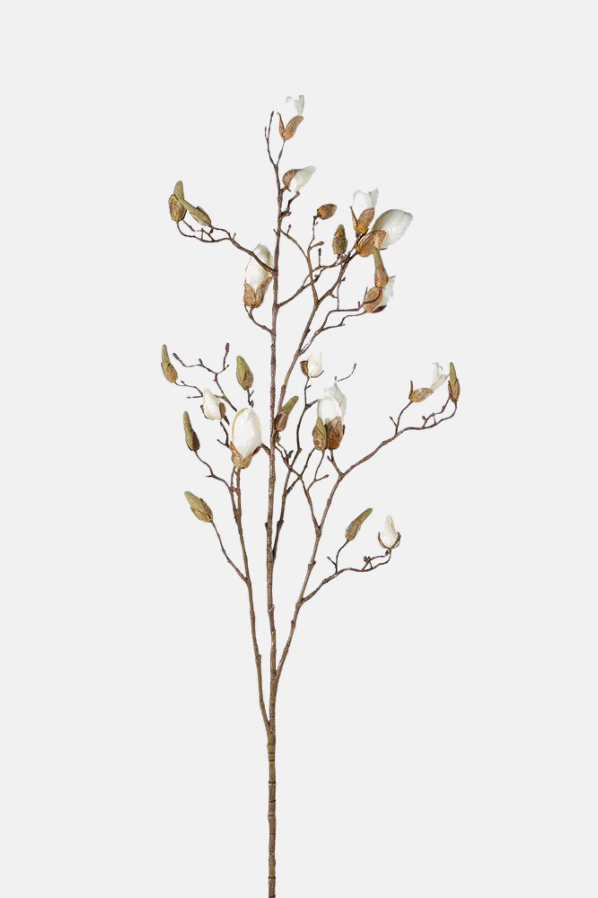 Ivory Magnolia Bud Branch