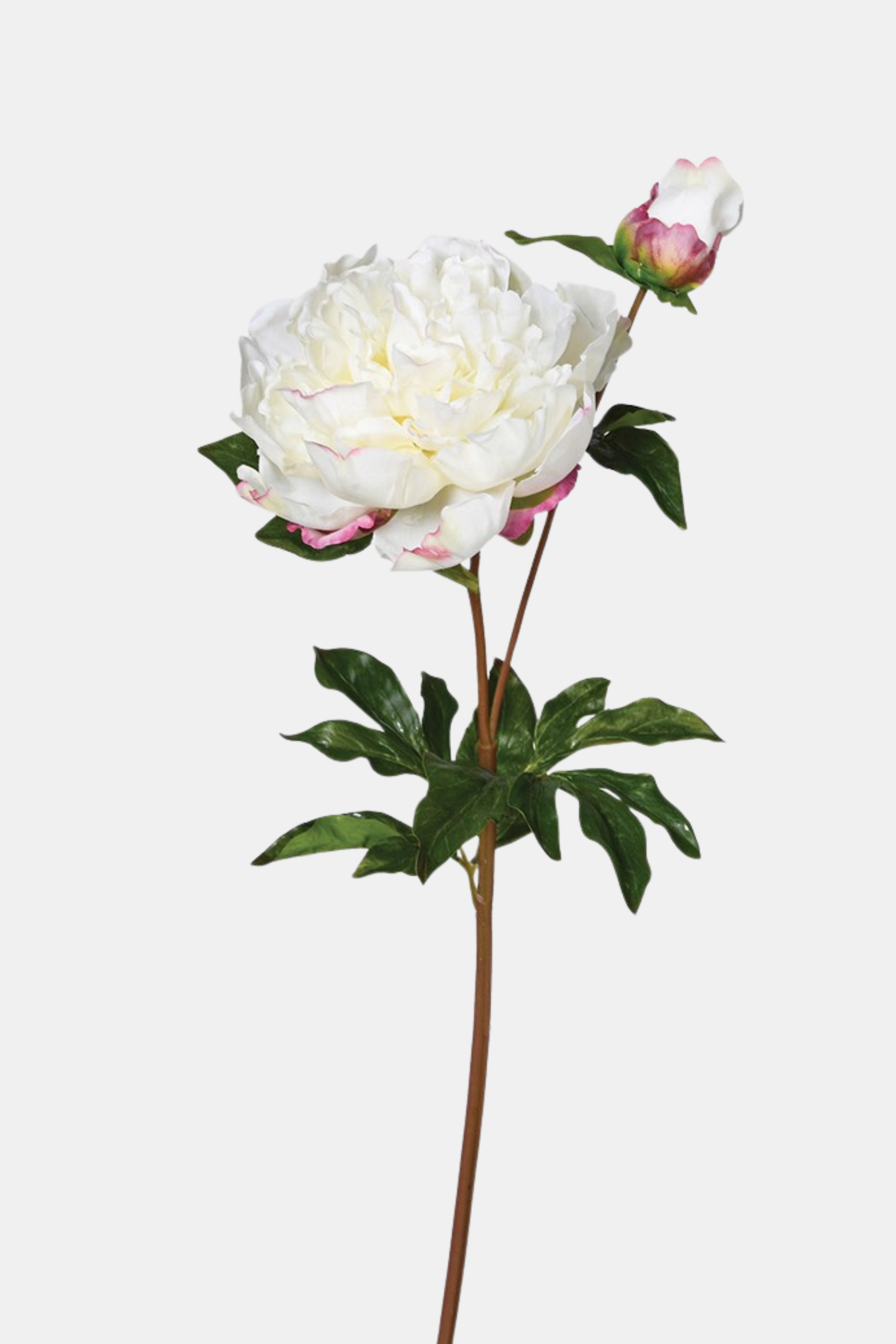 White Deluxe Real Feel Peony