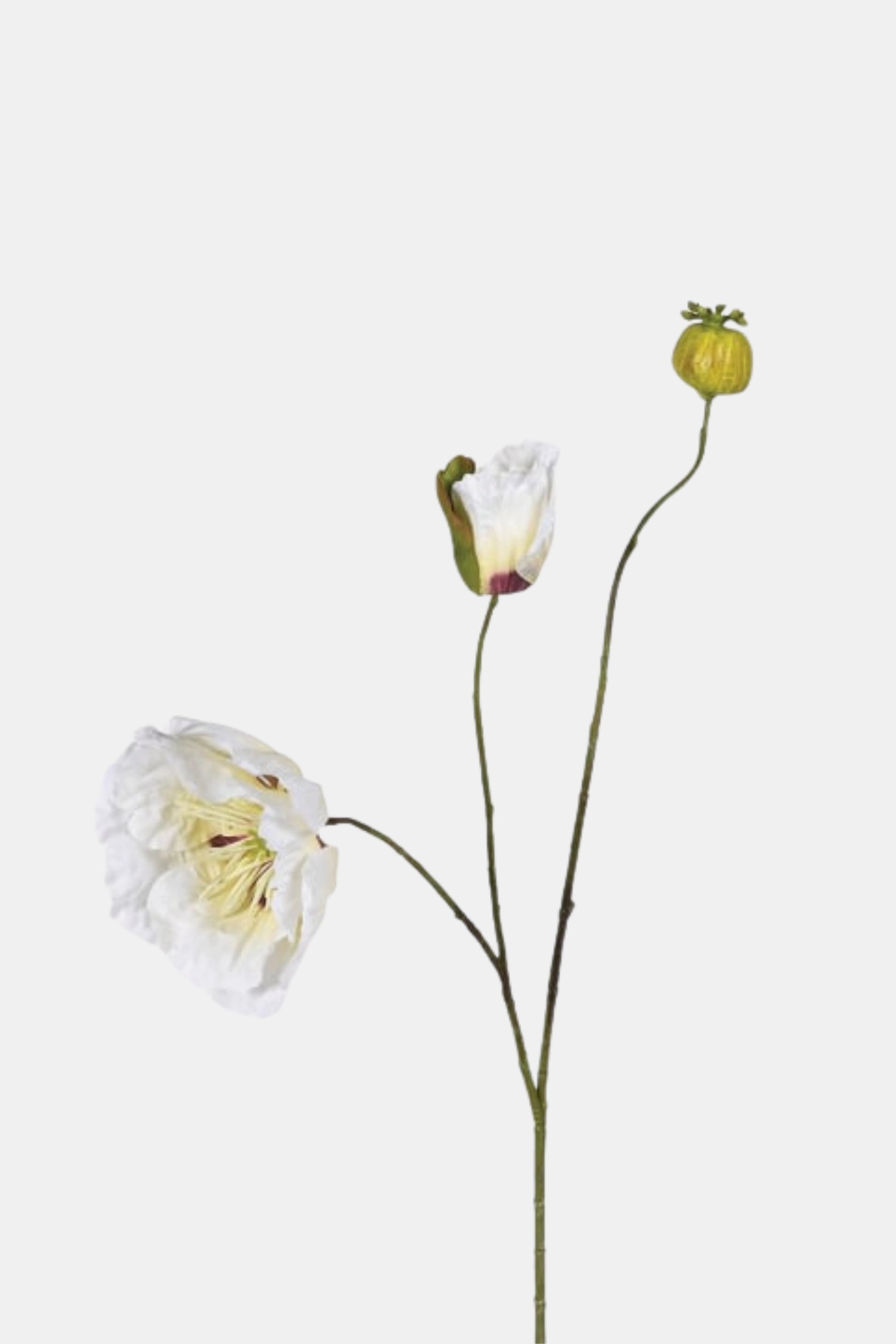 White Poppy Spray