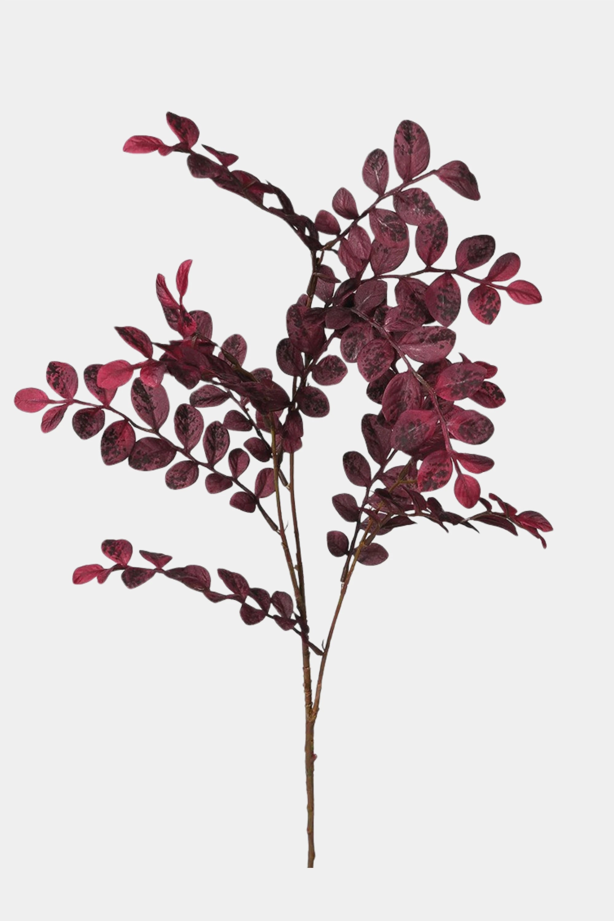 Plum Spray