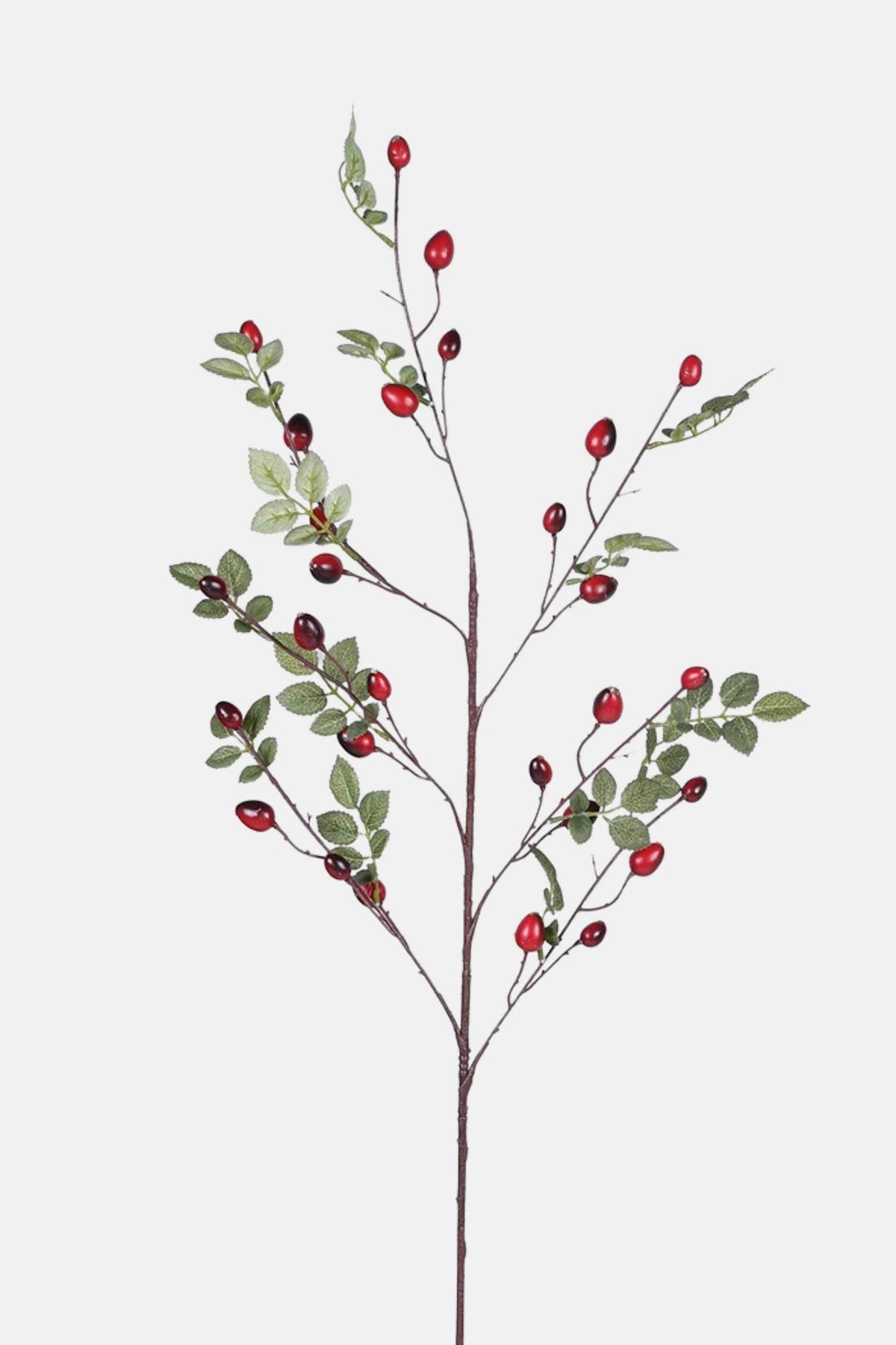 Rose Hip Spray