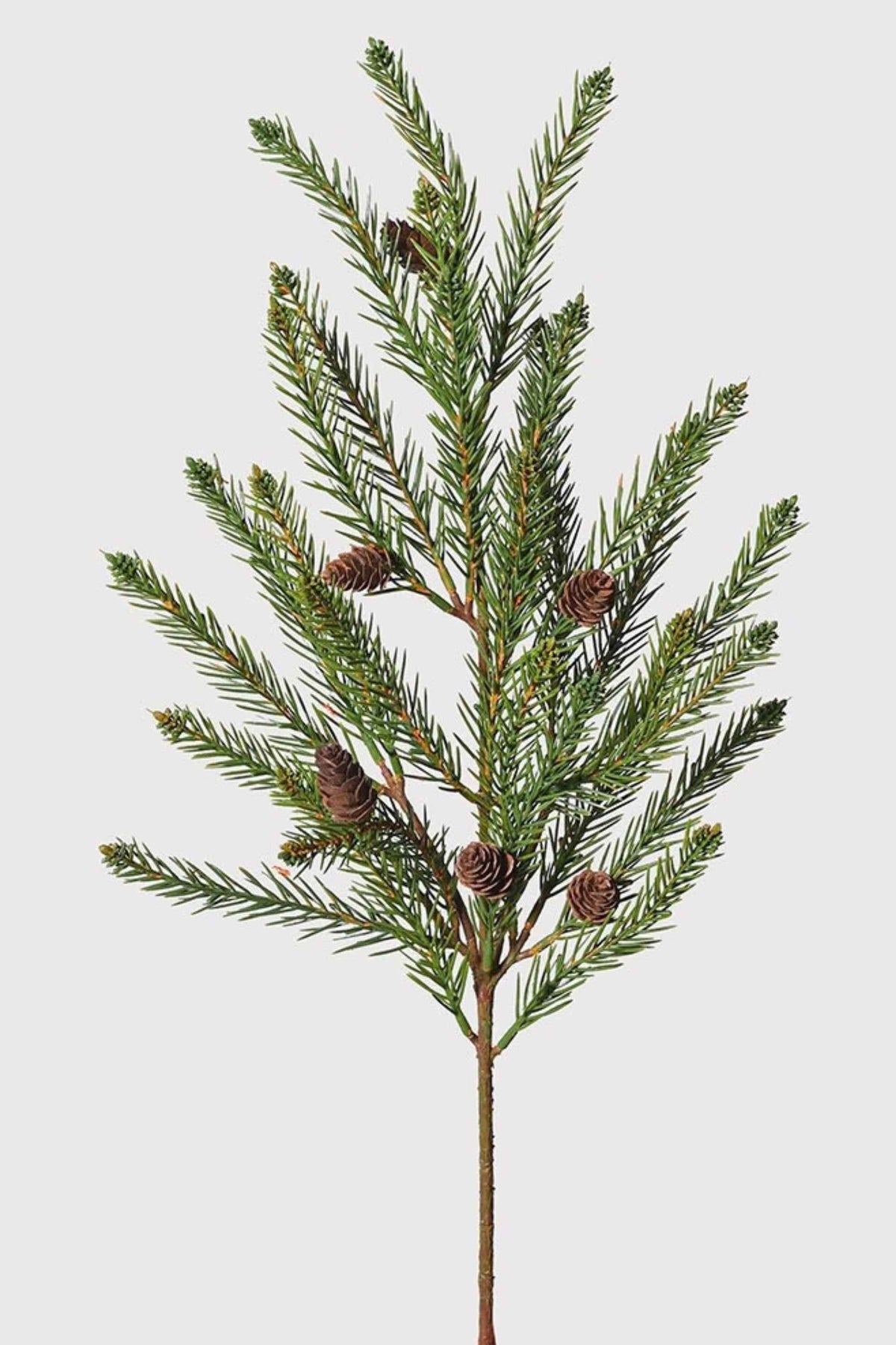 Fir & Pinecone Spray