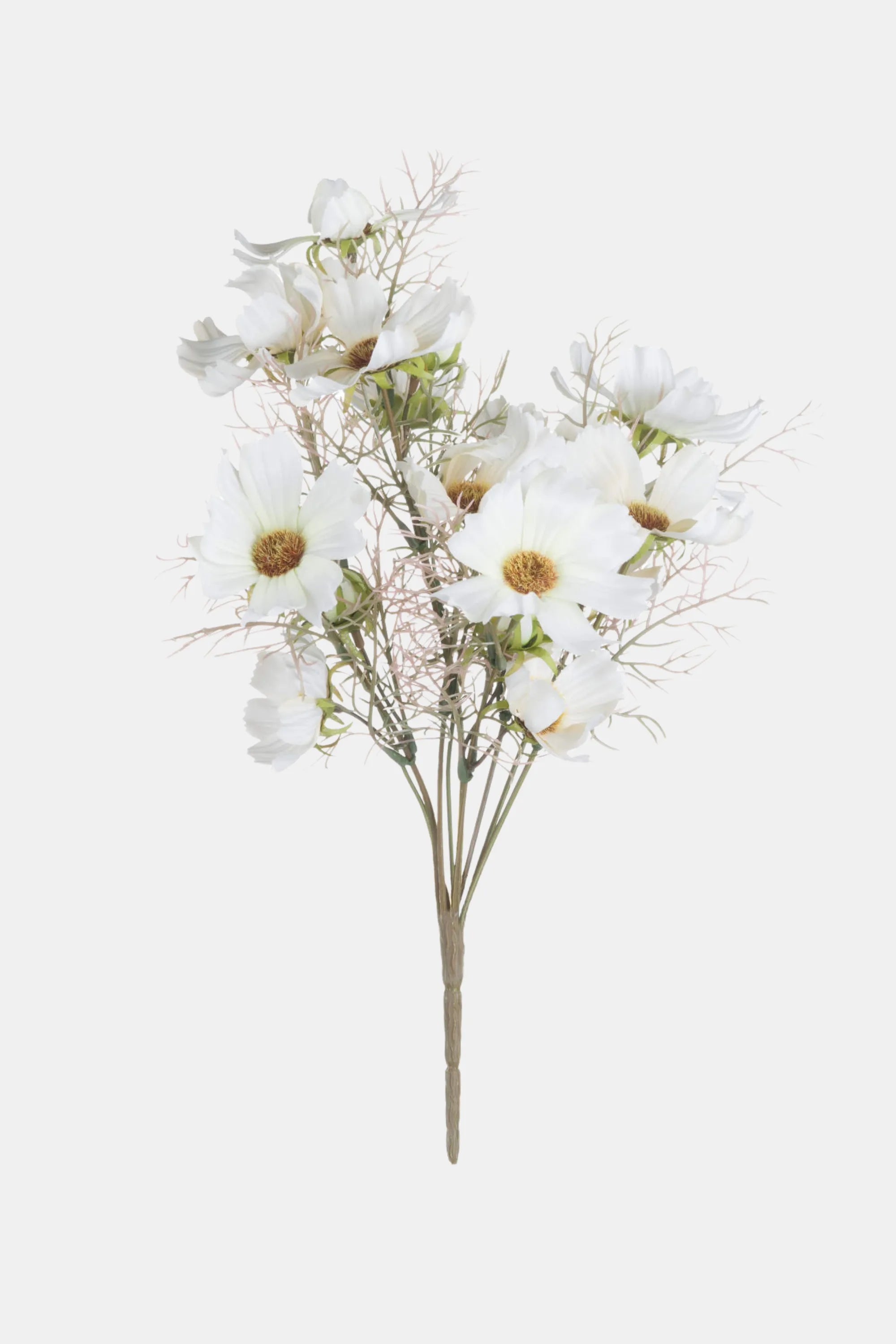 Cream Cosmos Spray