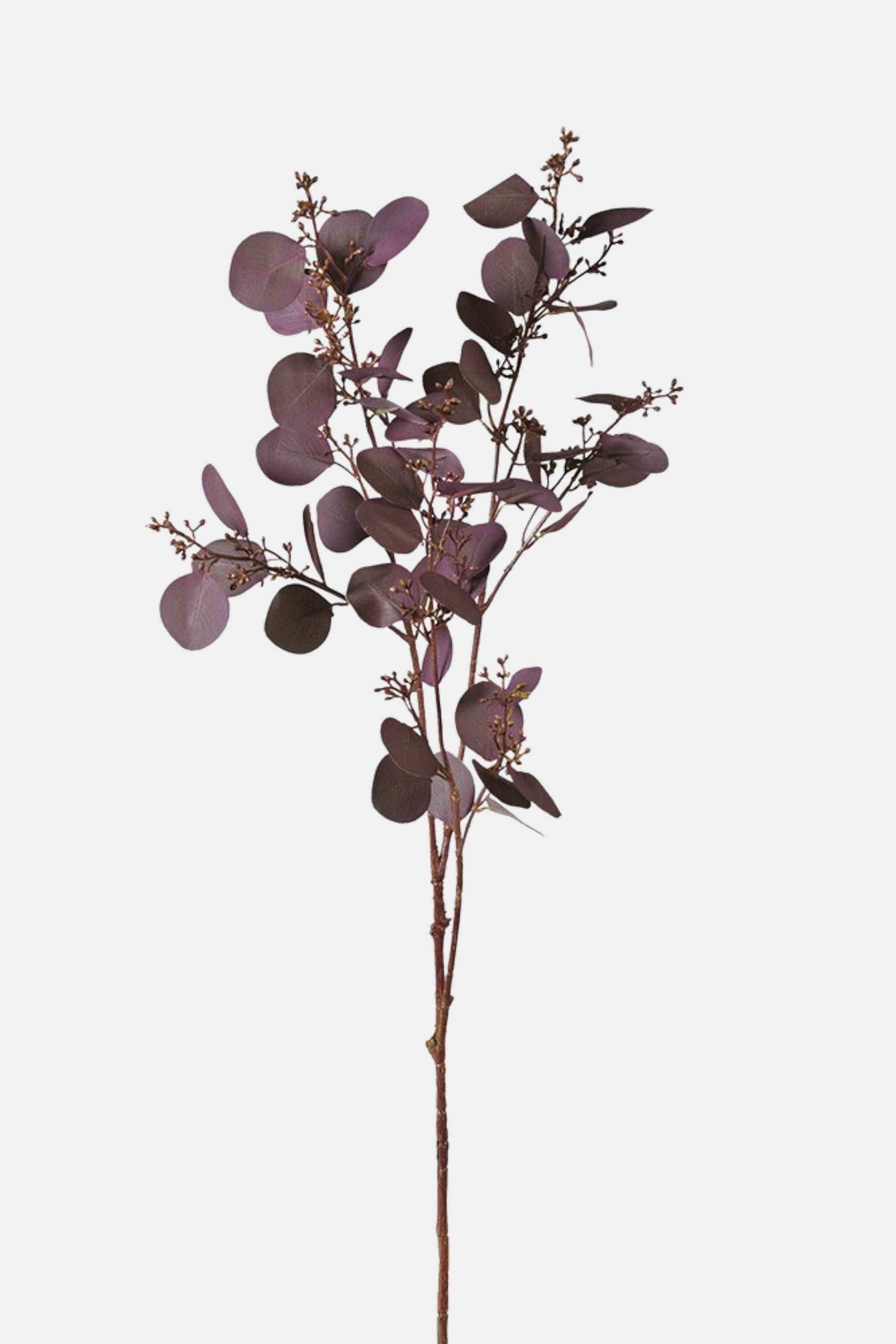 Burgundy Seeded Eucalyptus Spray