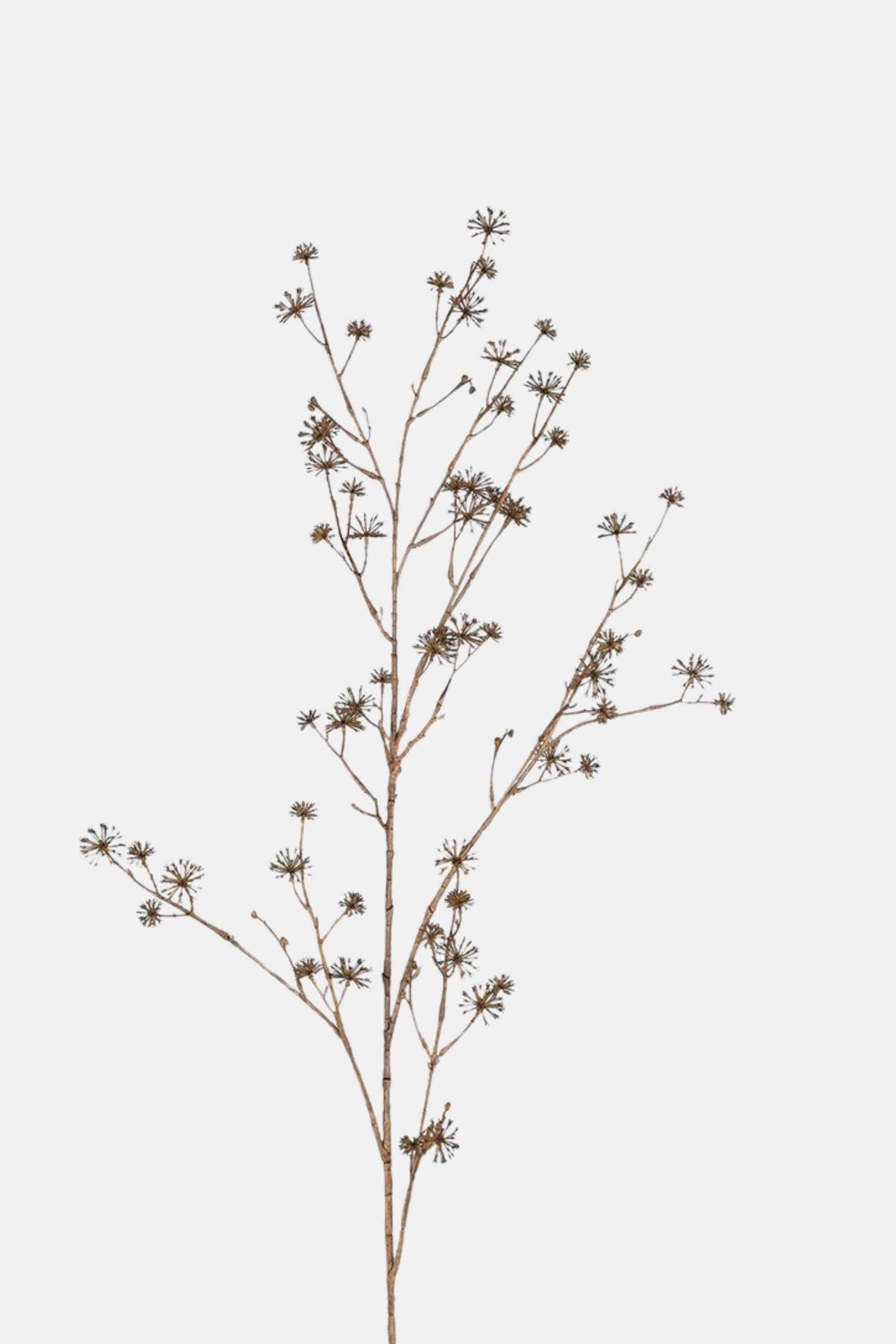 Brown Dogwood Spray