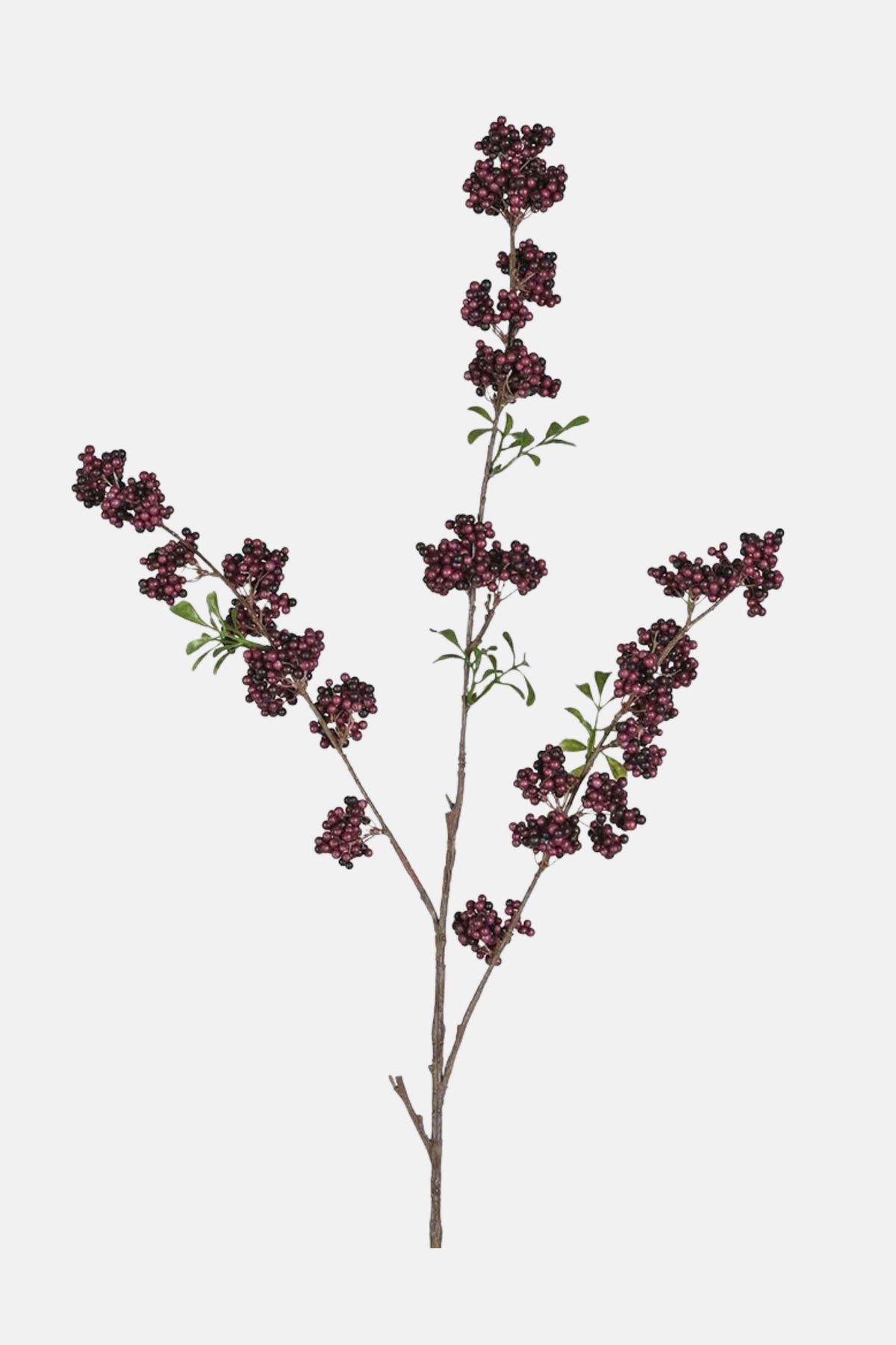 Burgundy Berry Stem