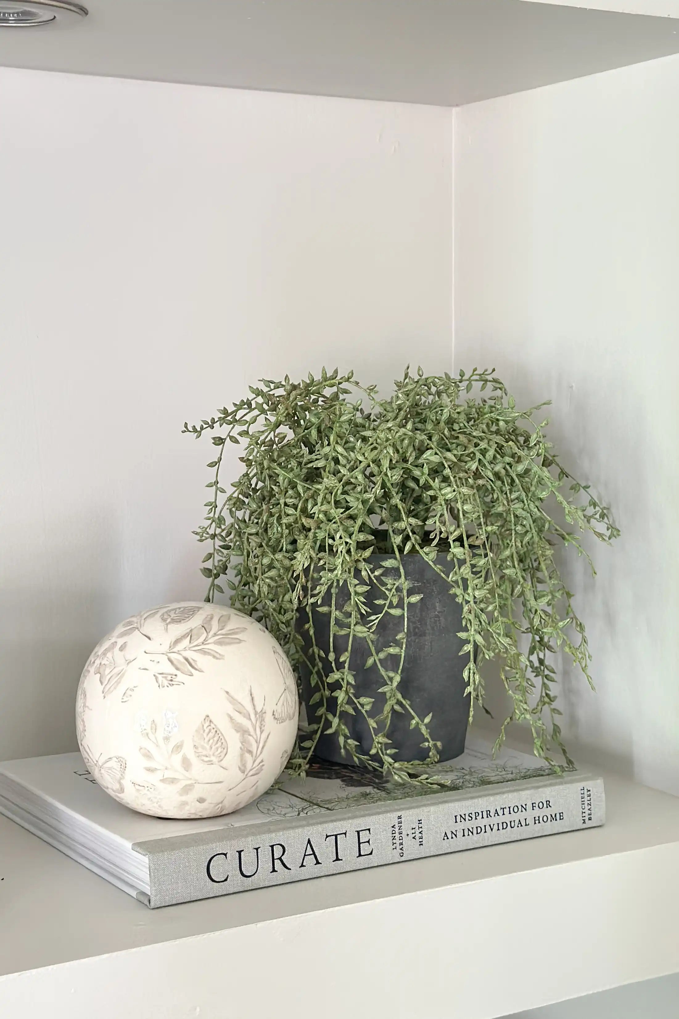 Faux Senecio Radican Potted Plant